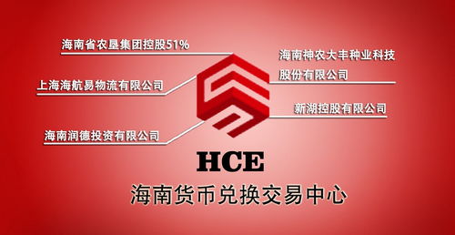 海南大宗内盘外汇656号会员招商全面启动，携手居间共创财富新机遇